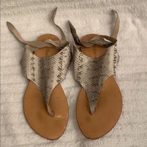 Cocobelle snakeskin sandals
